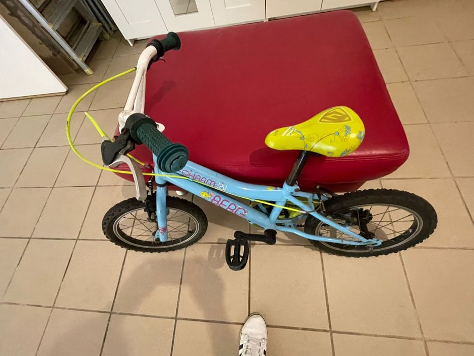 Bicicleta berg azul