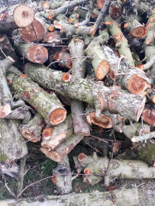 Sprzedam drewno opałowe suche sezonowane