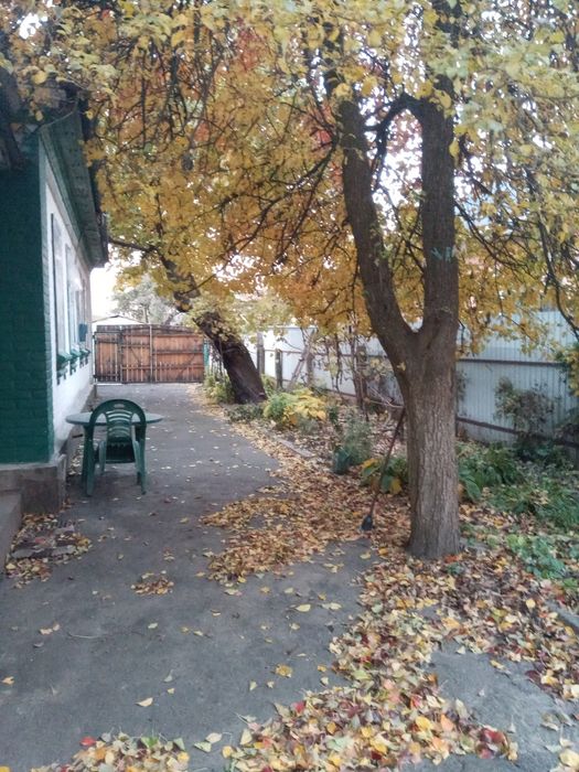 Отдаю плодовые деревья на дрова бесплатно