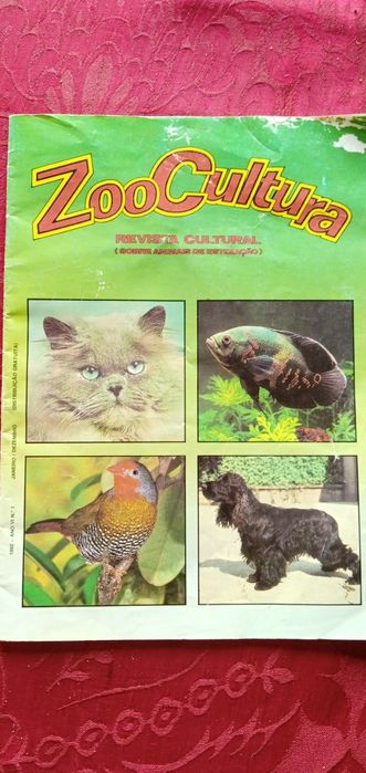 Zzzz para animal?Casota Coke P/durmir que nem 1animal-10E-Zoo5EDesde2E