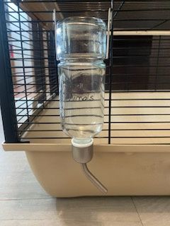 Poidełko dla chomika