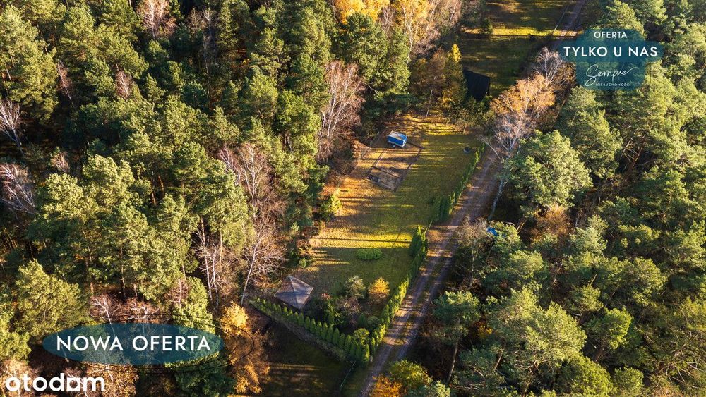 Wyjątkowa działka w sercu lasu