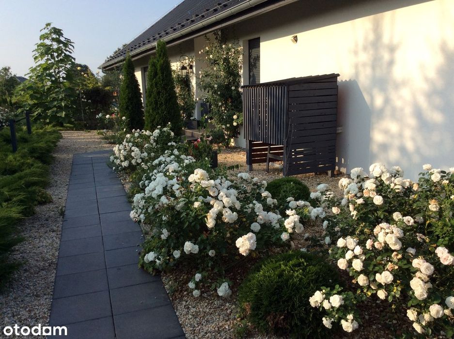 Willa w pięknym parku z basenem