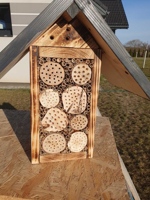 Domek dla zapylaczy owadnik.