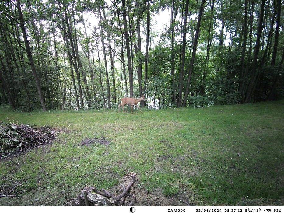 Фотопастка фотоловушка  HC950PRO Li