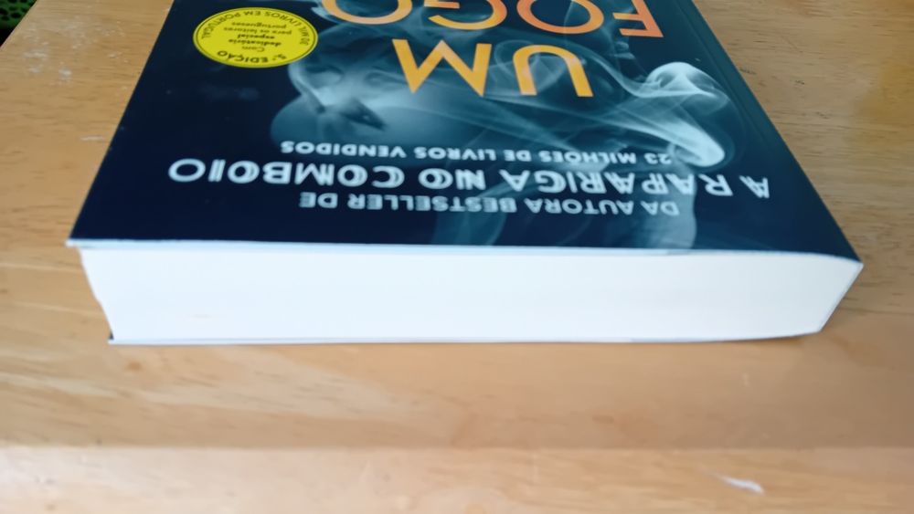 Um fogo lento - Paula Hawkins