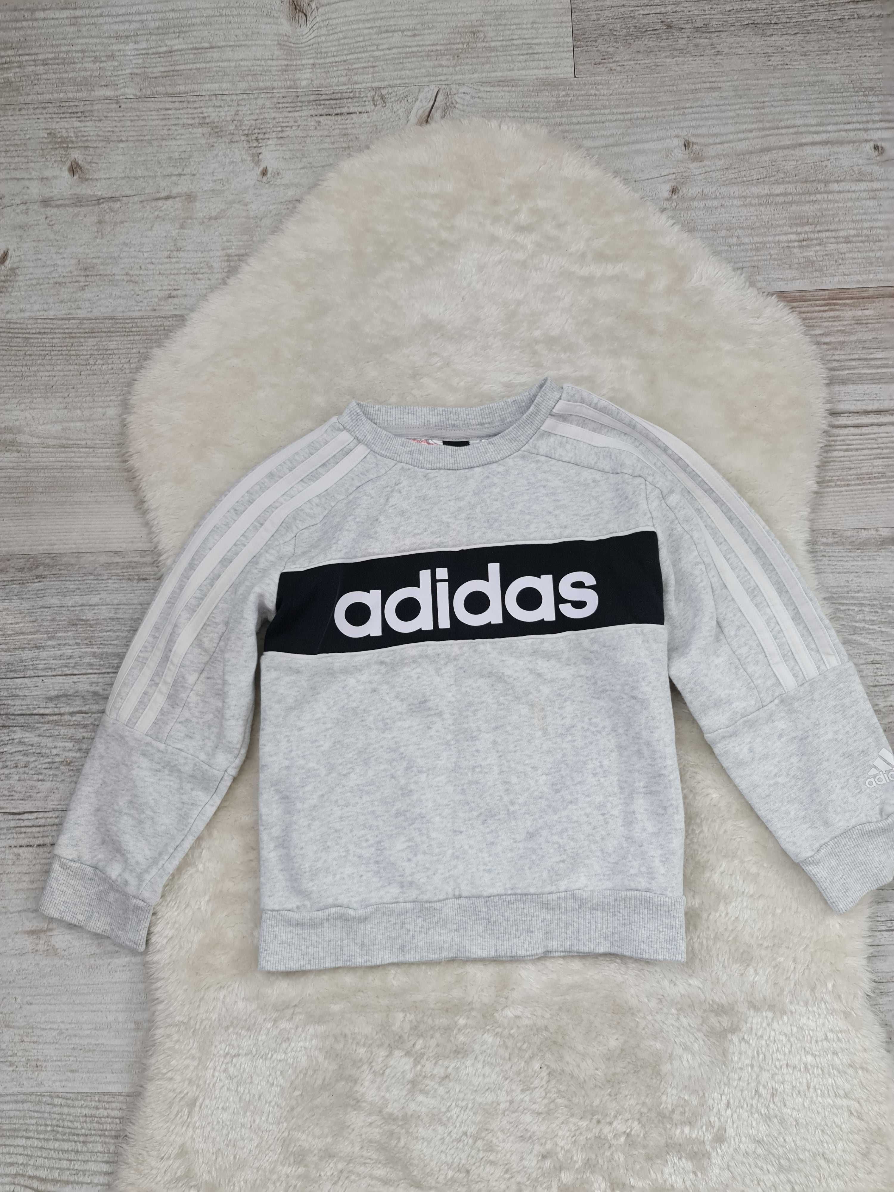 Bluza Adidas Rozmiar 110 - 116 na Wiek 5 a 6 lat Szara Oryginalna