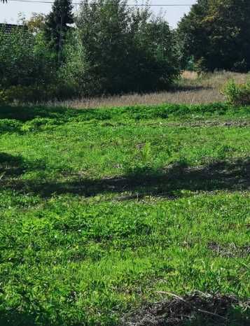 Dzidki Budowlane w Rożnowie na Sprzedaż od Właściciela