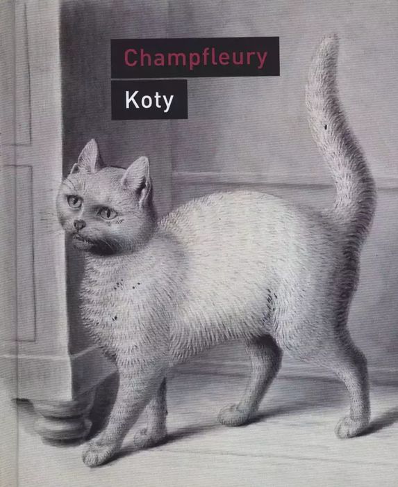 Koty. Historia, zwyczaje, obserwacje, anegdoty