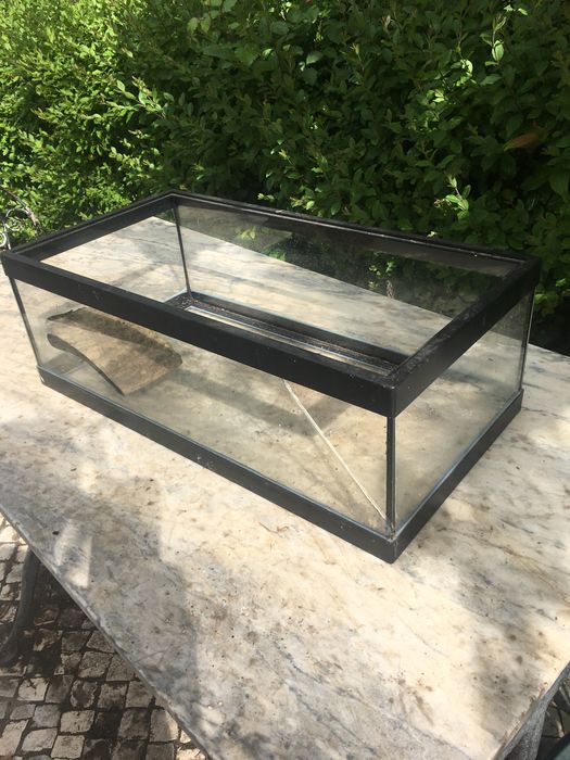 Aquario para peixes ou tartarugas