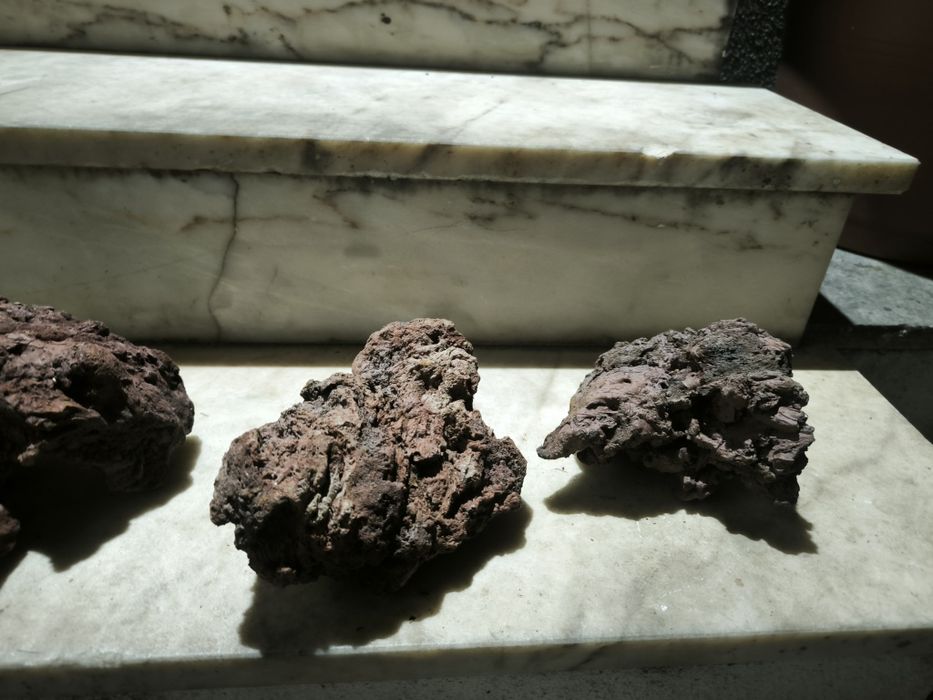 Troncos e rocha vulcânica para aquário e terrário