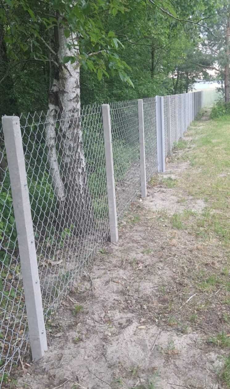 Siatka ogrodzeniowa ocynkowana
