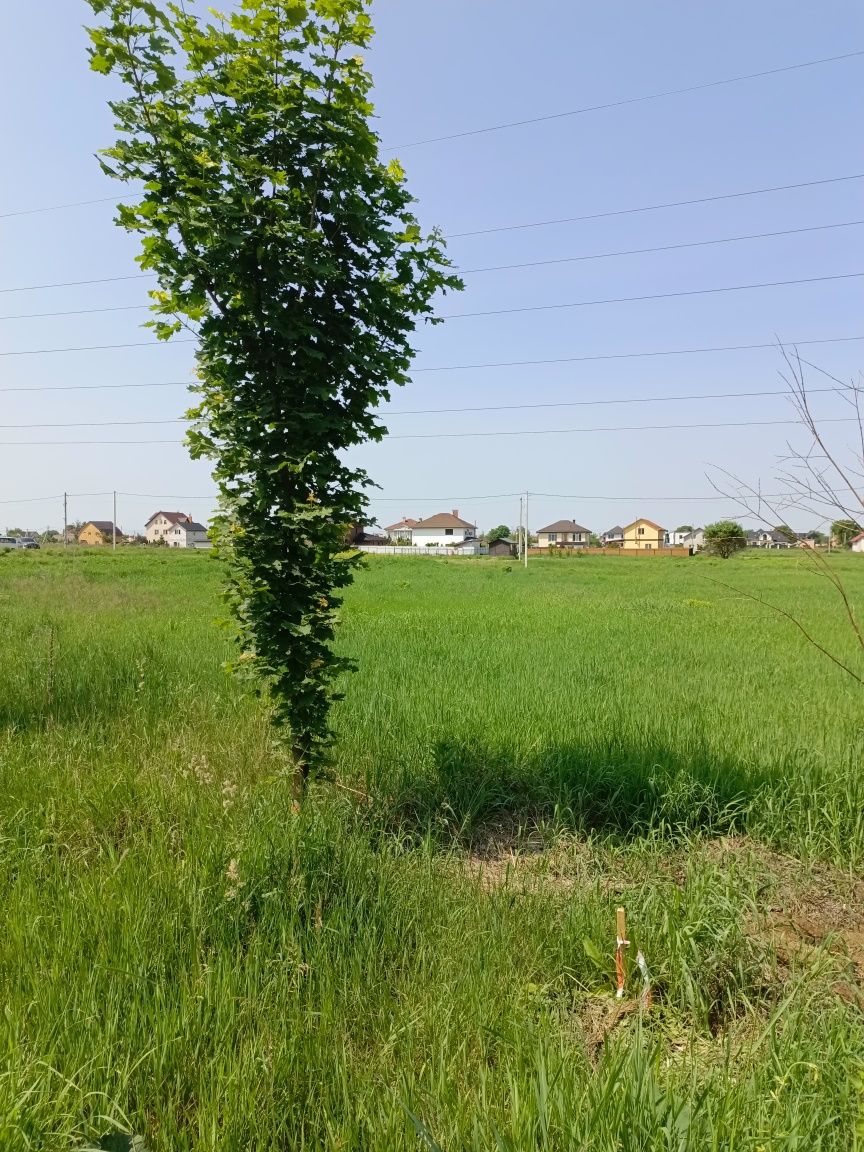 Продам земельну ділянку селище Княжичі