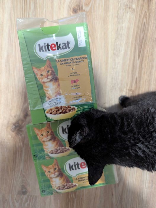 KITEKAT kawałki mięsa w sosie 48x85g saszetki mokra karma dla kota