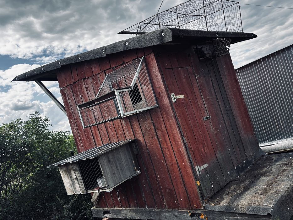 Gołębnik 66 półek