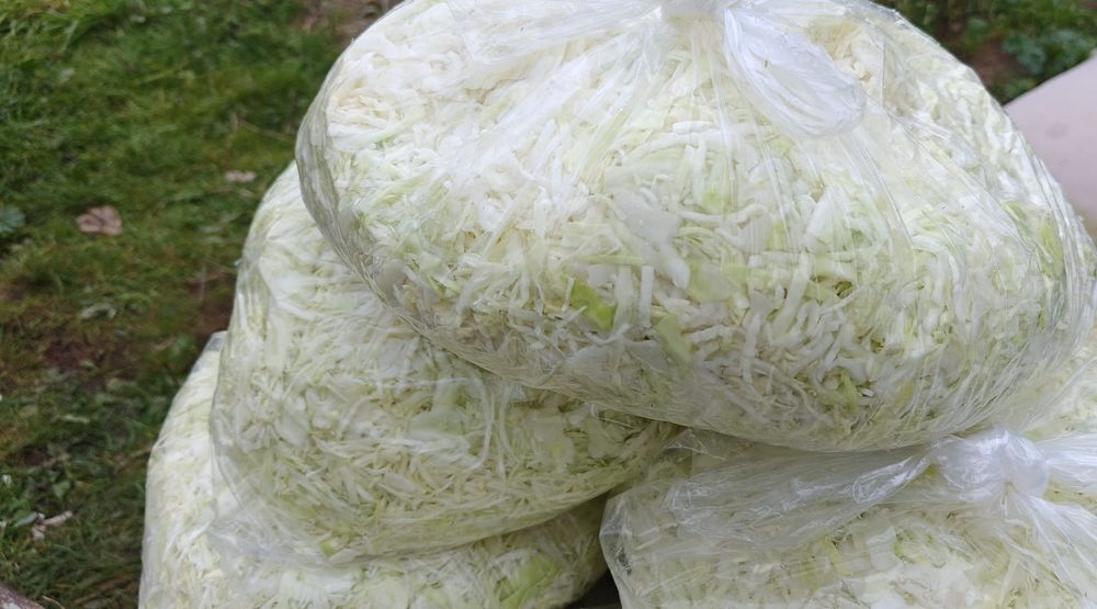 Kapusta szatkowana 5 kg