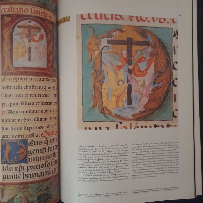 Revista Oceanos - A Luz do Mundo