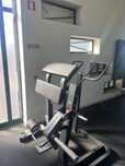 Standing Leg Curl ELLIPSE