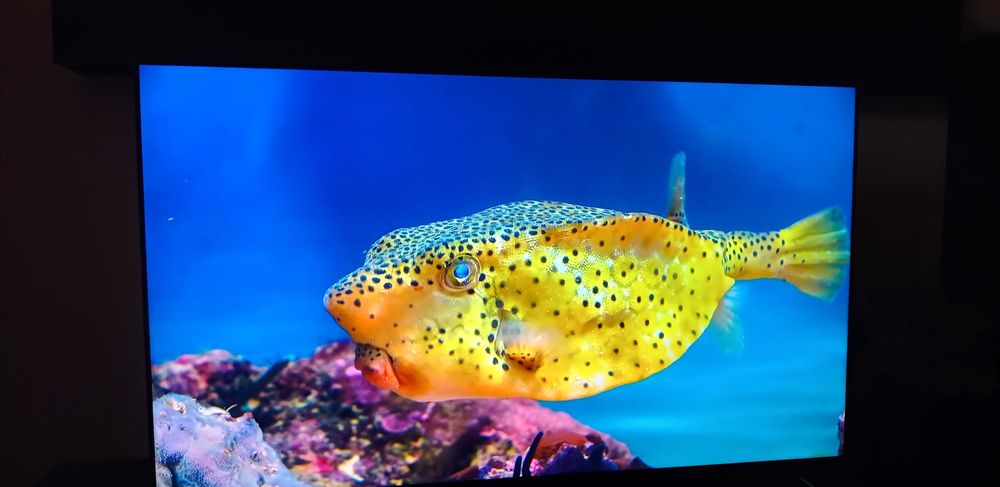 Sprzedam telewizor Sony XR-65X90K