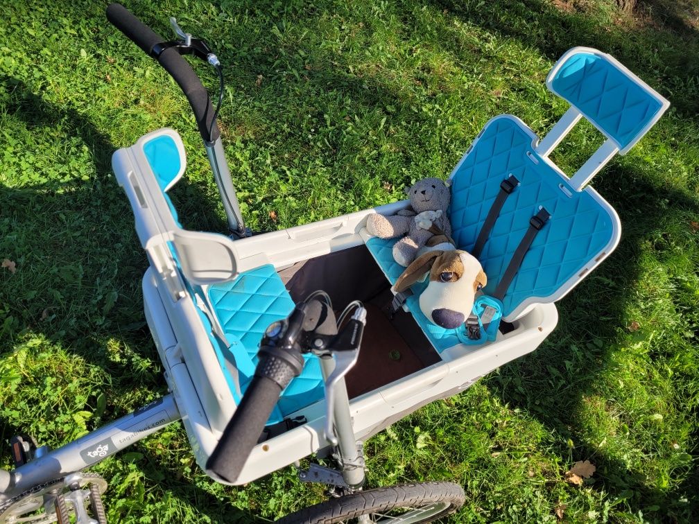 Rower cargo taga bike 2.0 rodzinny do przewożenia dzieci