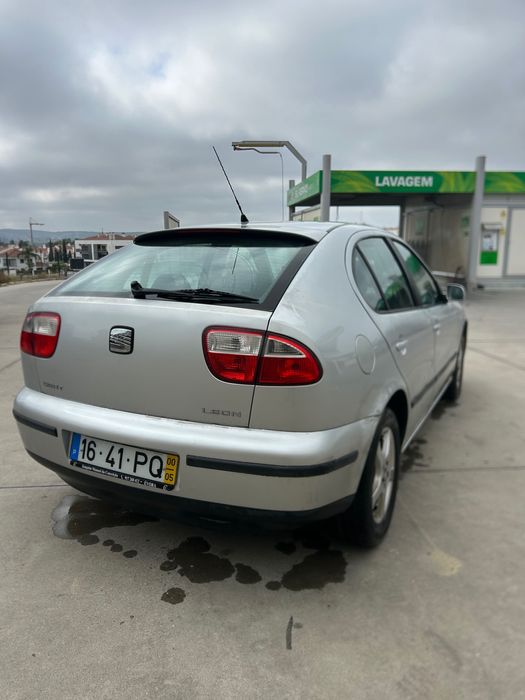 Seta leon ano 2000