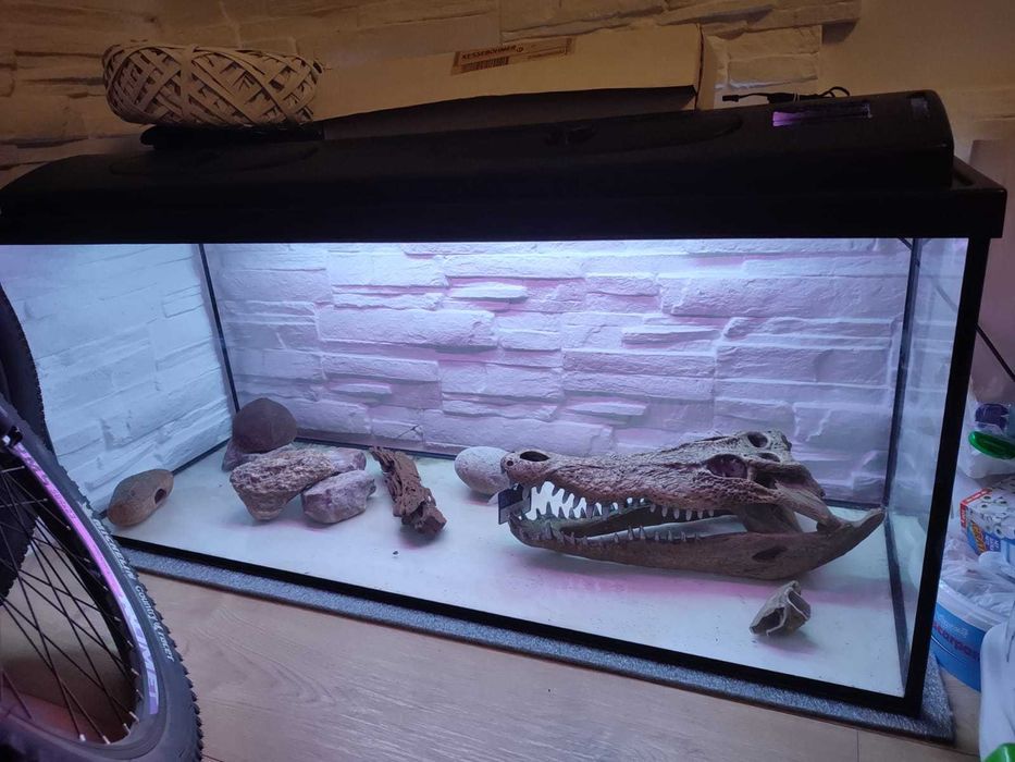 Akwarium.          .