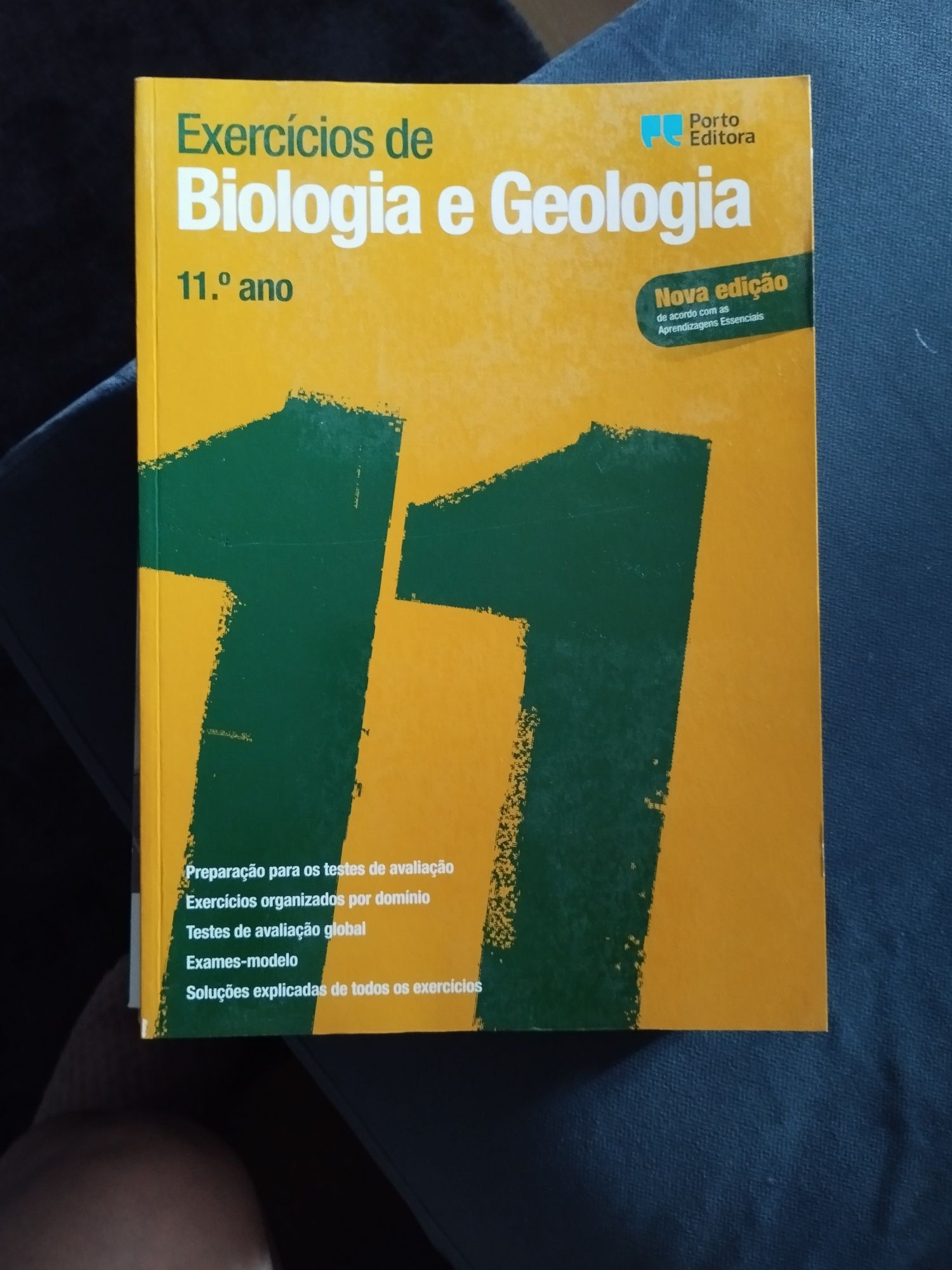 Preparação para testes e exame