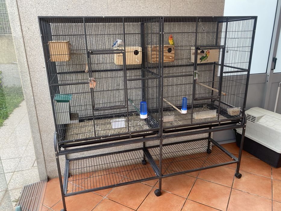 Viveiro para aves exóticas