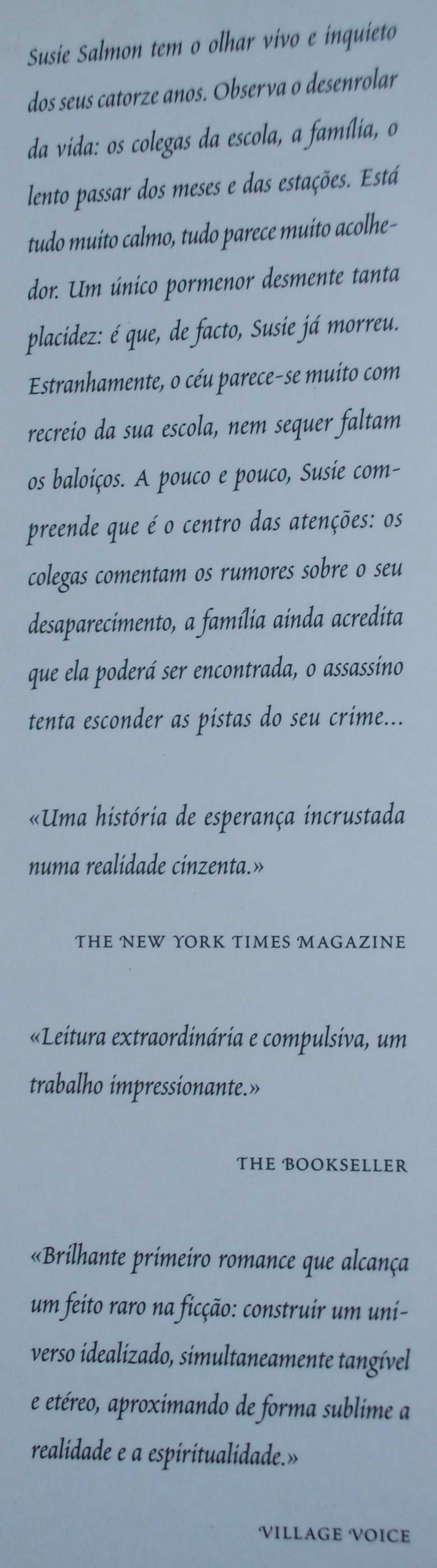 Visto do Céu de Alice Sebold