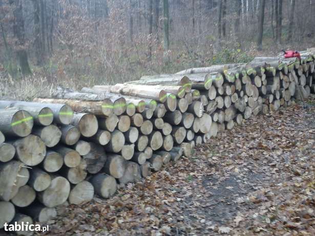 Drewno kominkowe i opałowe od 280zl  worki rospałkowe 12zł suchy buk .