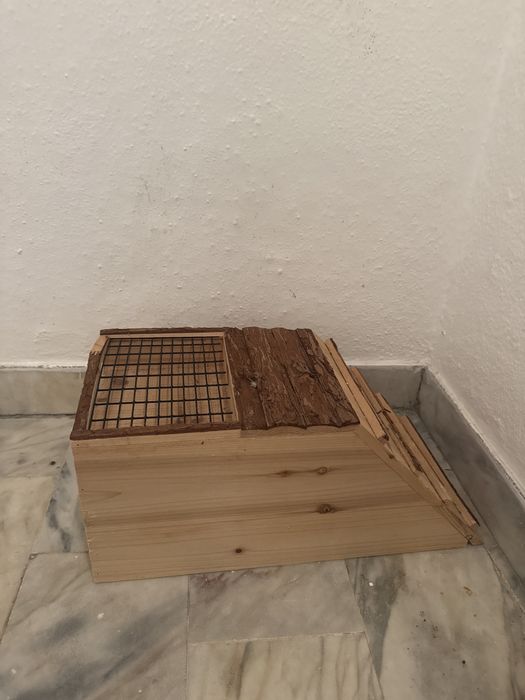 Brinquedo para roedores