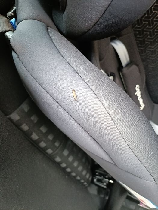 Fotelik samochodowy Lionelo Sander 0-36 isofix