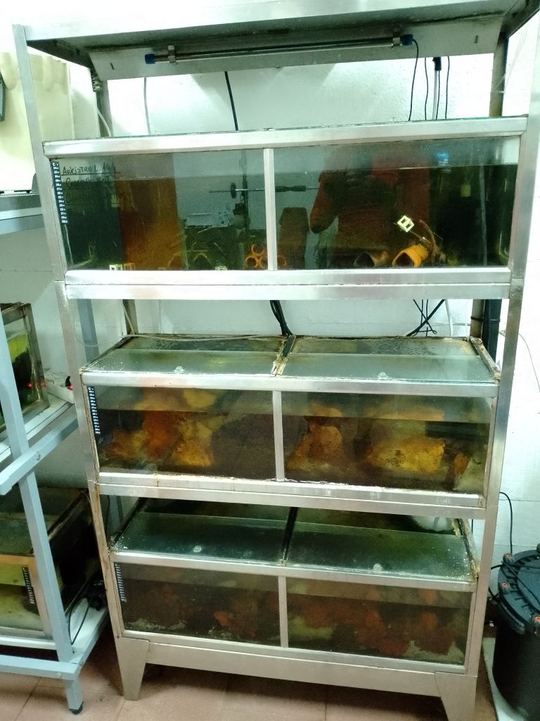 Bateria de 3 Aquários totalmente em inox + compressor Ar resun LP 60
