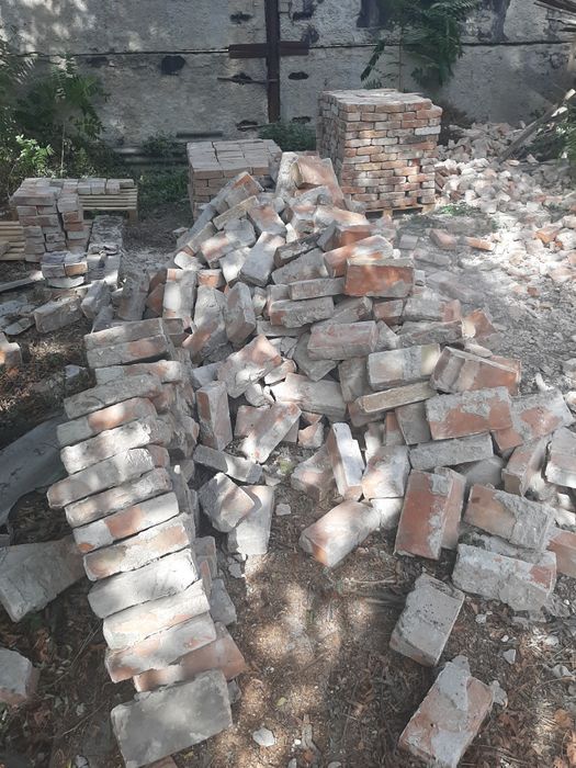 Продам Екатериненка