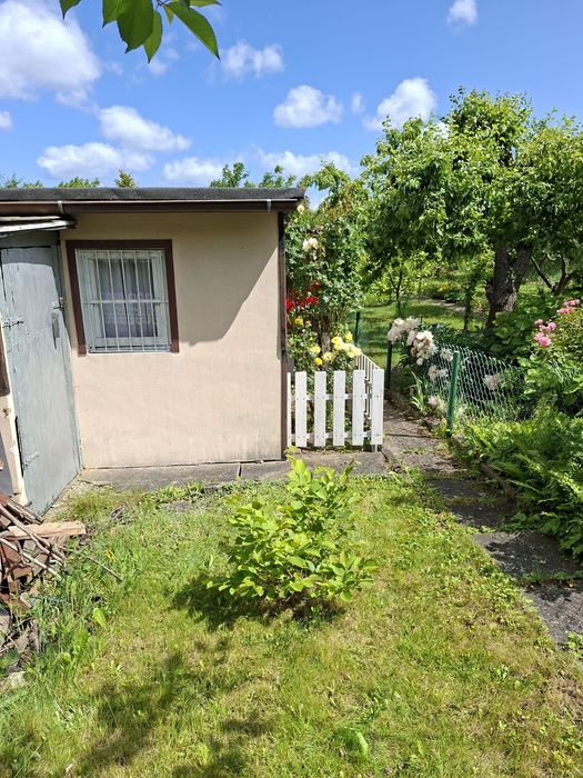 Działka ROD ,,Tulipan" 440 m²