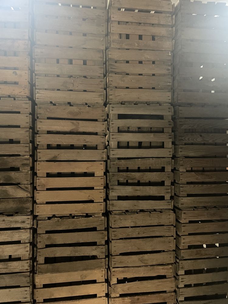Skrzynki drewniane jedynki 50x40