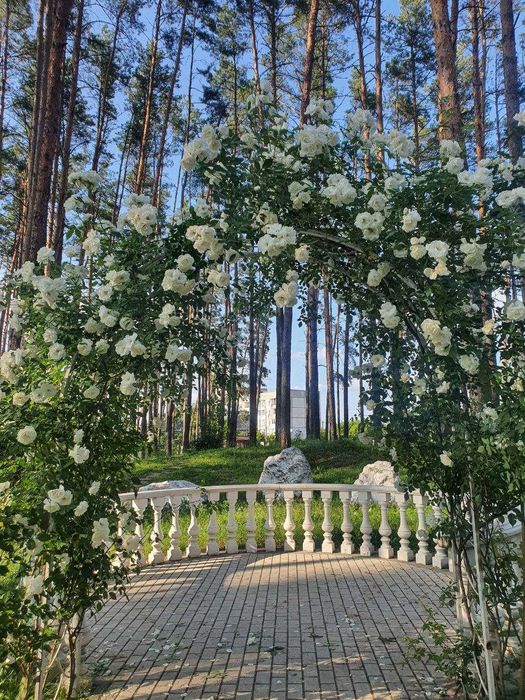 2-кім з виходом у парк—ЖК SOBORNYI Гостомель   !РОЗТЕРМІНУВАННЯ БЕЗ %!