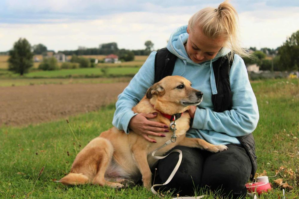 Gwizdek czeka na adopcje