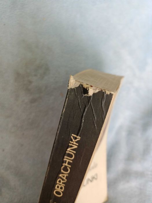 Obrachunki. - Goytisolo Luis / literatura iberyjska