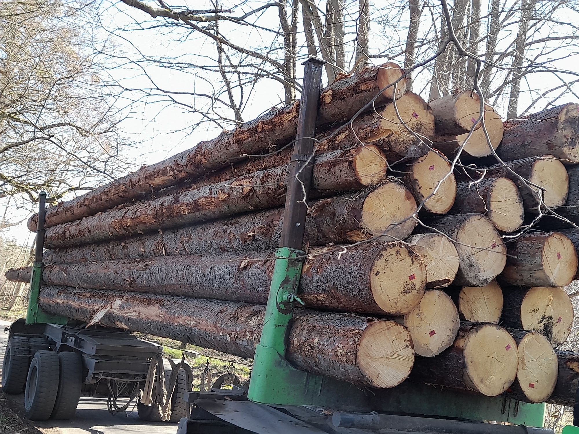 Transport drewna dłużycy,drewno od 2,5m do 16 m dług,słupy ene