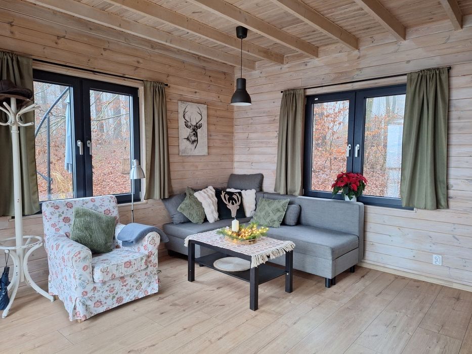 Siedlisko Drzewina - domek na wsi