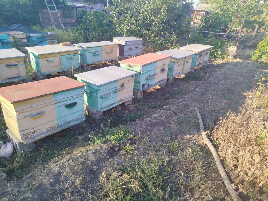Продам вулики лежаки, рамки