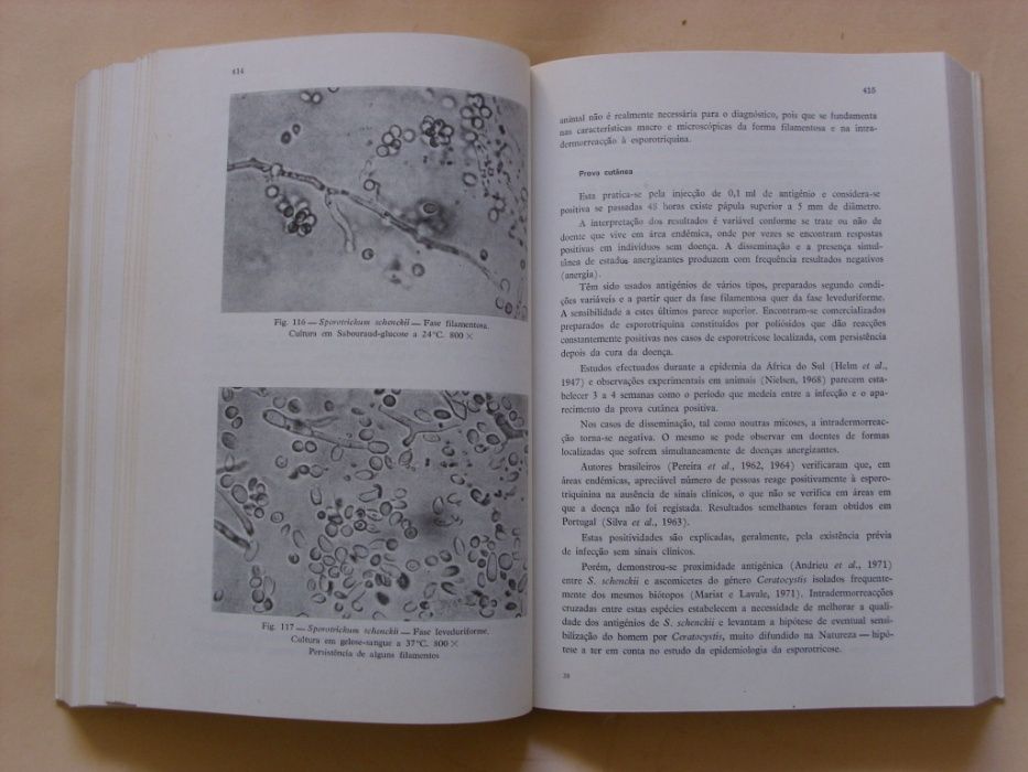 Micologia Médica de Júlia Cabrita, Gustavo Nobre e Juvenal Esteves