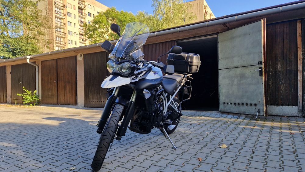 Sprzedam mojego triumpha tigera