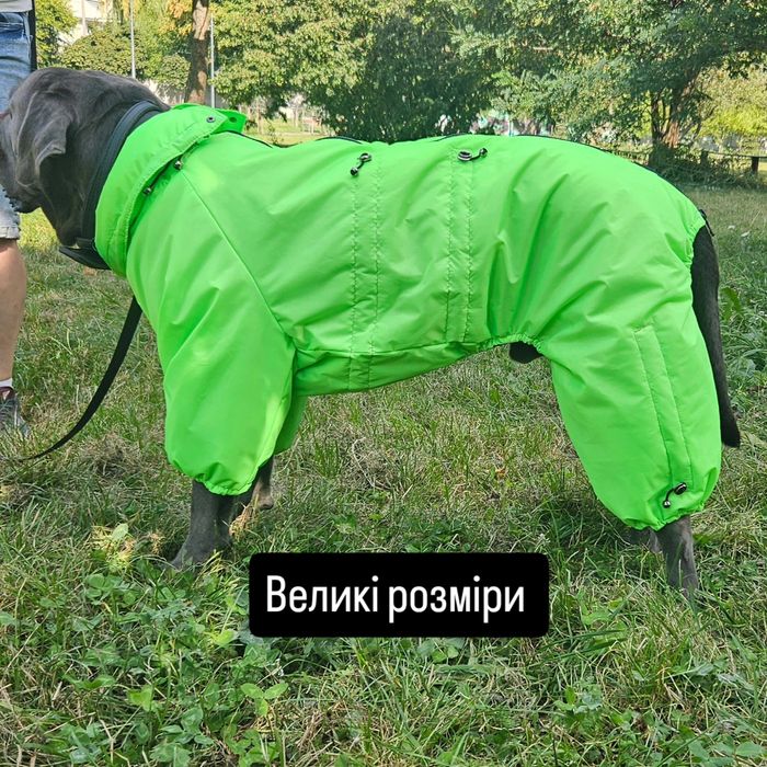 Комбінізони для великих порід.  Кане-корсе,  Ротвейлер, Лабрадор