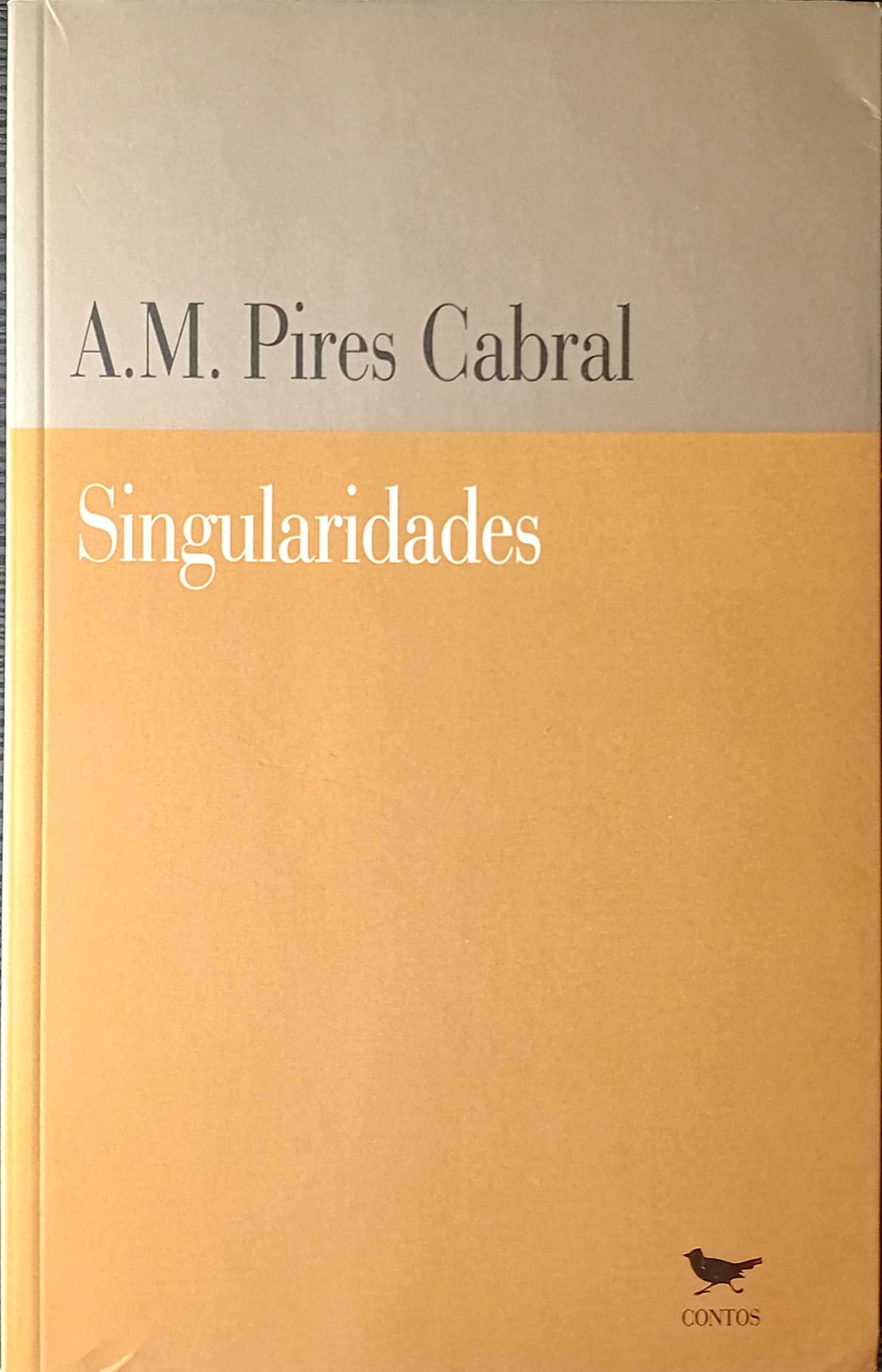 Singularidades - A. M. Pires Cabral