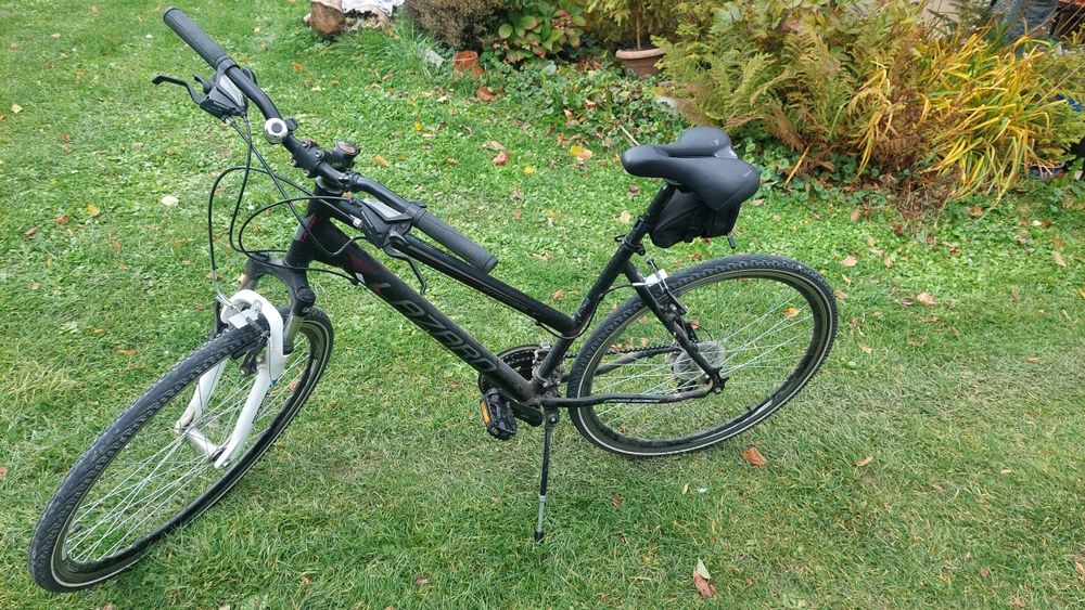 Rower Lazaro Integral v1