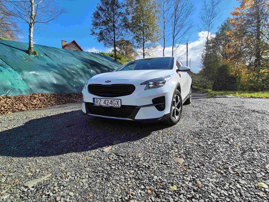Ładny crossover Kia X ceed