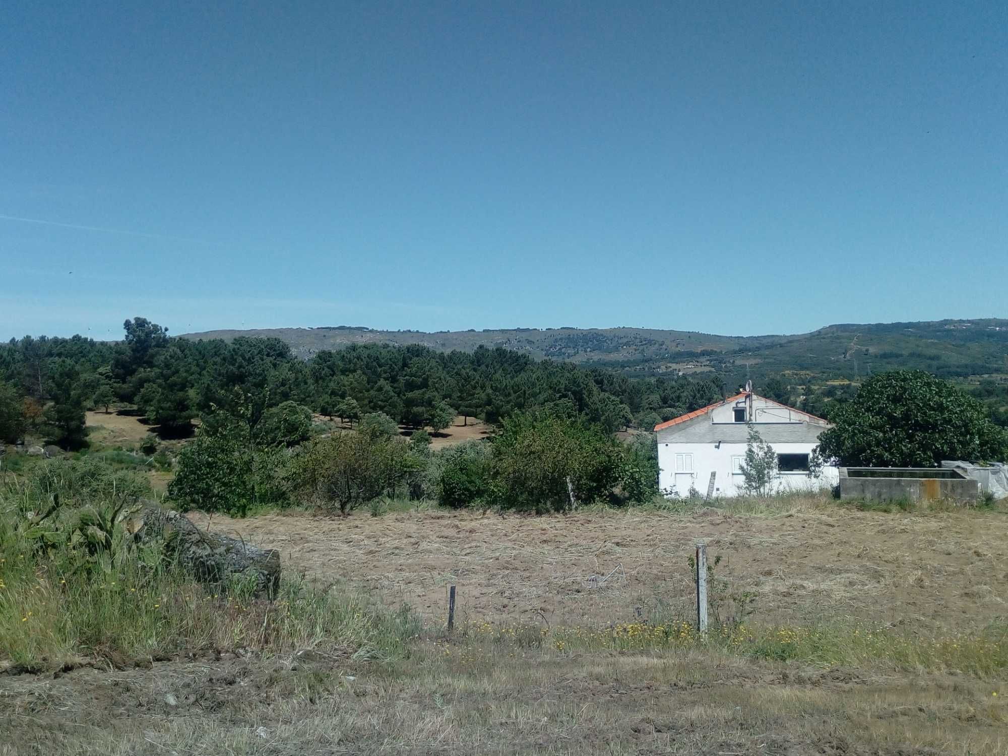 Quinta com casa e armazens