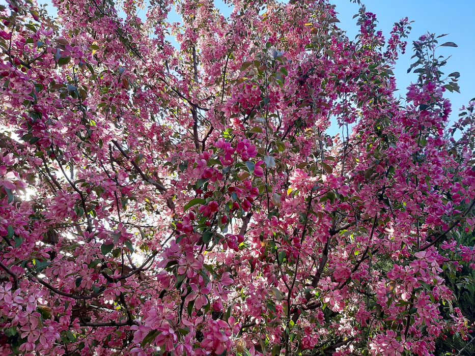 Продам участок на Гагарина, Материк